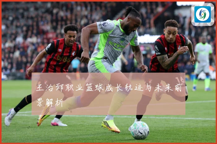 王治郅职业篮球成长轨迹与未来前景解析