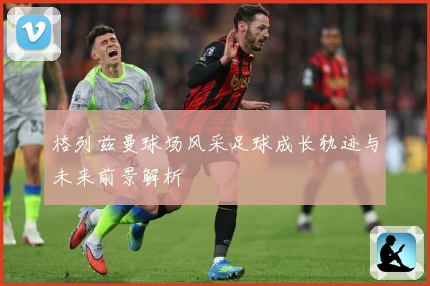 格列兹曼球场风采足球成长轨迹与未来前景解析